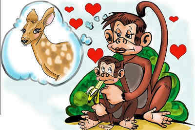 ما قصة المثل القرد بعين امه غزال