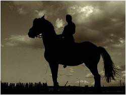 من هو الصحابي ربعي بن عامر