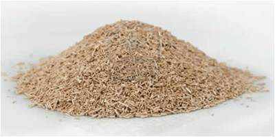 ما هو شكل الخميرة البيرة