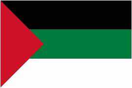 ما هو لون علم الثورة العربية الكبرى