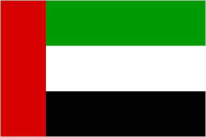 ما هو شكل علم الامارات