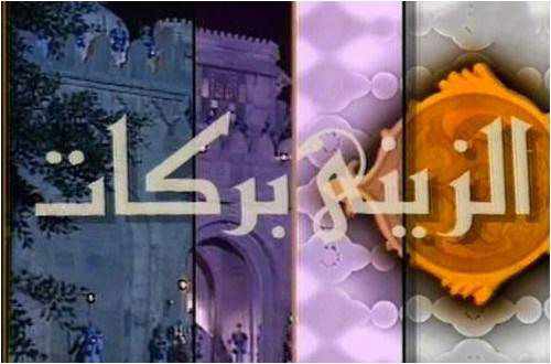 من هو بطل مسلسل الزيني بركات