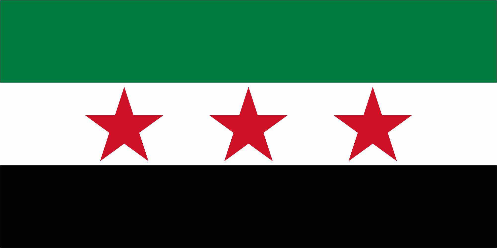 ما هو شكل العلم السوري القديم