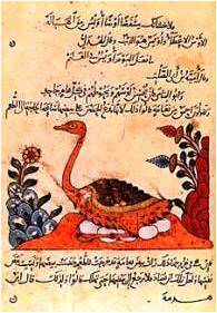 من مؤلف كتاب الحيوان