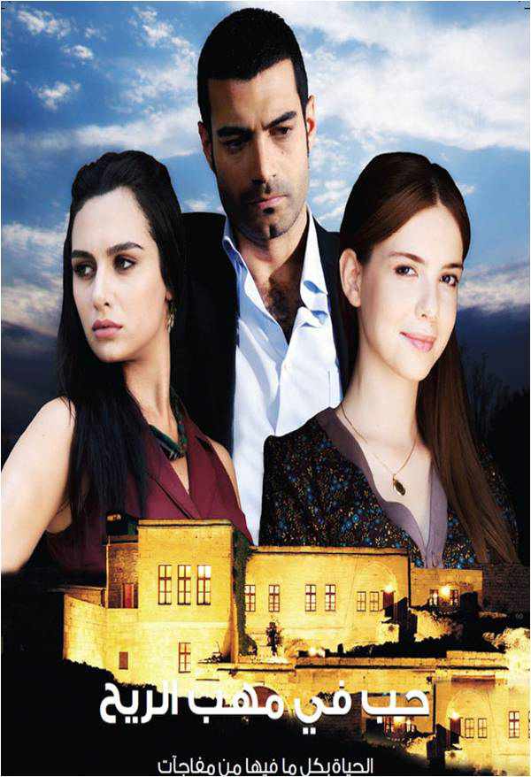 من هو بطل مسلسل حب في مهب الريح