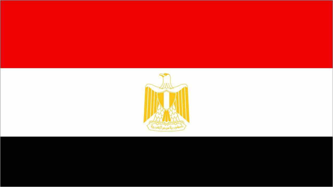 ما هو شكل علم مصر