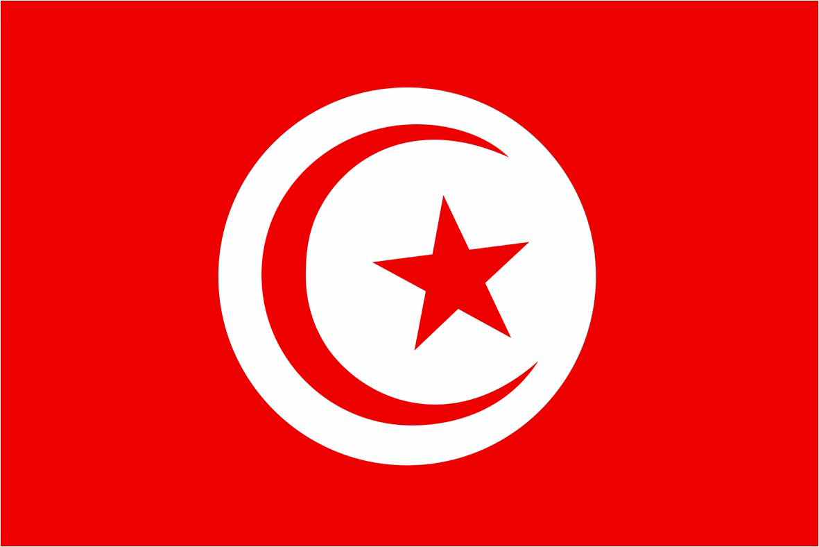 ما هو شكل علم تونس